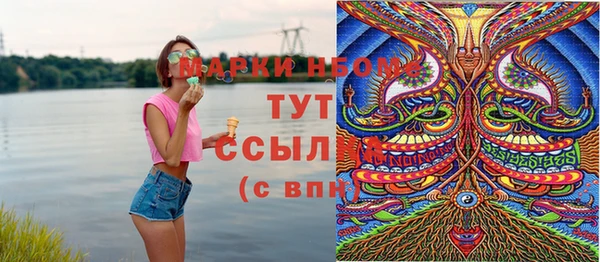 гидра Майский