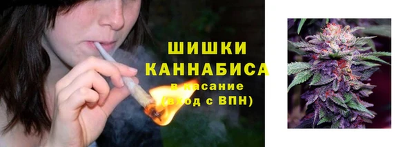 гидра Майский
