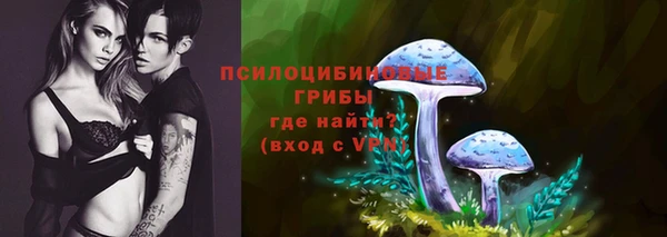 spice Баксан