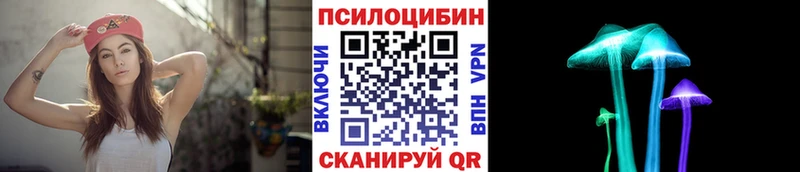 Галлюциногенные грибы прущие грибы  цены наркотик  блэк спрут зеркало  Бирск 