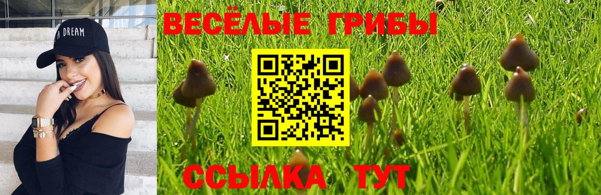 Галлюциногенные грибы мицелий  дарнет шоп  Бирск  Вход с VPN 